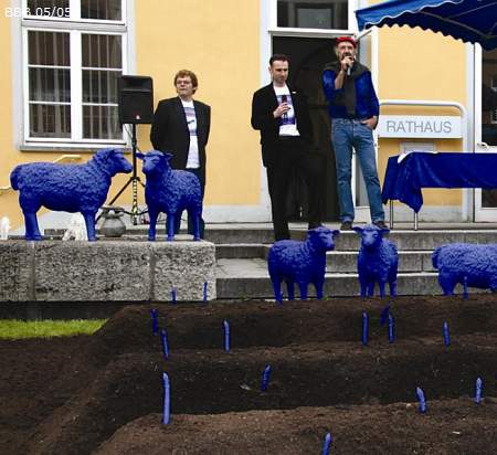 Rainer Bonk und sein Blauspargelfeld